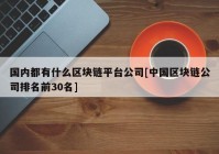 国内都有什么区块链平台公司[中国区块链公司排名前30名]
