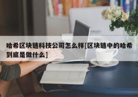 哈希区块链科技公司怎么样[区块链中的哈希到底是做什么]