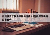 但我投资了很多家区块链的公司[投资区块链能暴富吗]